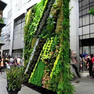 Тенденции в озеленении: модные растительные виды, новые способы дизайна зеленых зон, особенности выращивания растений в условиях городской среды.